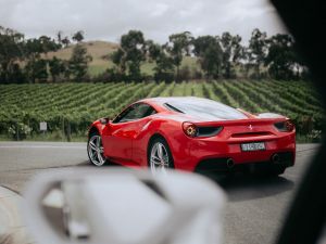 The Prancing Horse Supercar Drive Day Experience - Melbourne Yarra Valley - Australia Accommodation