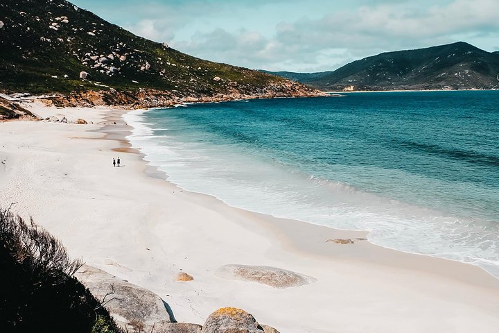 Small Group - Wilsons Promontory Hiking Day Tour From Melbourne - Australia Accommodation